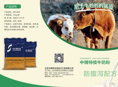 犊牛奶粉与小牛奶粉 如何抉择？优博、飞鹤、Bubs深度对比