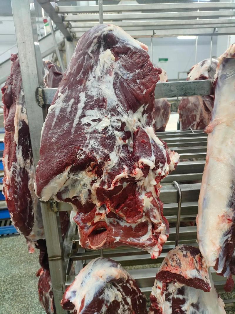 清真牛羊屠宰厂直销 纯干鲜牛肉与丰富牛副，品质保障健康之选