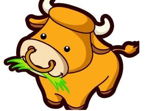 属牛的人2020年运势及运程全解析